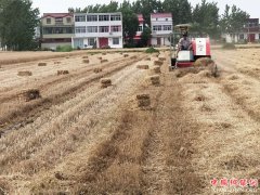 գԶոѽձ䡰黹Ϊ