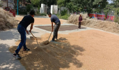 ��������������Ա�ȷ���  ��ּ���ļ�