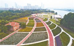 �Ͼ�������԰ʮ���ֻ��ܾ��࿪�� �����ɫ��