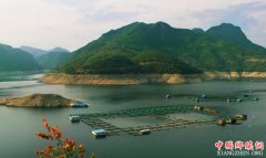 2020���Ԫ��ҵ�ܲ�ֵ����20��Ԫ