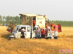 山东郯城：小麦种收全部实现机械化操作