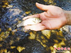 ɽ��Ϫ��Ϻ�ؼҼ�