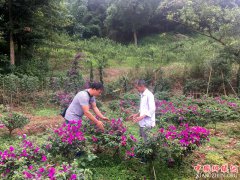 �˱����������á�����Ⱥ�ڡ�Ǯ���ӡ�