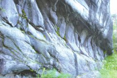 ��������ɽ�ϵġ���������ݡ�