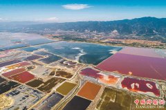 �˳��߲��κ�