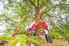 ��Ϫ��չ������һ�ϣ�����һ�������������