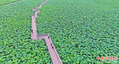 ������������Ķ������