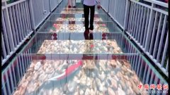 ��ֱ�߶�98�� ���������7D�����������µ����