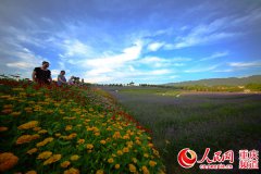 ��ƽ��������԰������