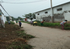 ����ʡ��������������:��ץʵ�� �ٴ���������˳���ƽ�