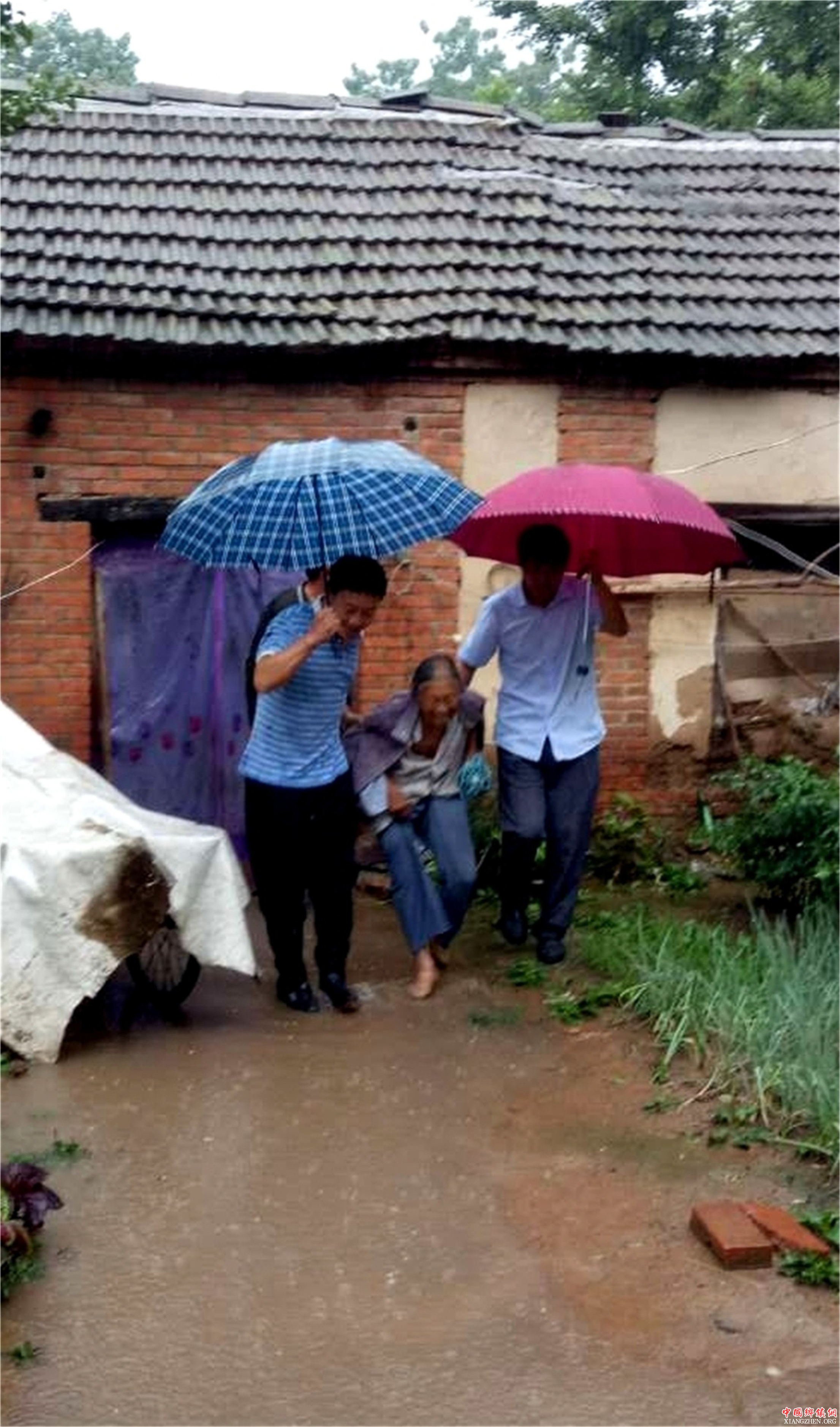 山东省郯城县马头镇:百名党员风雨之中见真情