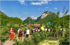 ���ݣ���塰΢���Ρ��������п�