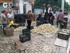 ��������ƺ���ƶ�ȫ������ ��չƷ���Ļ����μ�