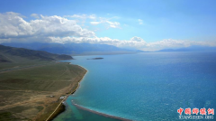 �½�����ľ�����