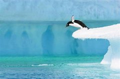 ȫ���13%���� δ�������ƻ�