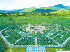 ���ͻ�����+������ ���������������η�չ��ģʽ