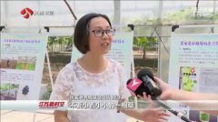 �����ƹ���ɫ���ؼ��� ũҩʹ���������½�