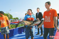 �������������ڿ�Ļ��4��������� �����ο���ѳ�