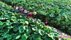 ����ʮ������֧�����������߽���200��Ԫ