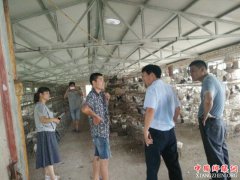 ���գ��ų���ǿ�������������ζ���