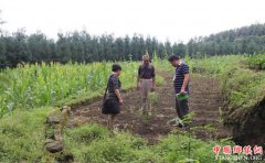 �Ĵ�ȫ��ʵʩũ���ƹ������Ƹ�ƻ�