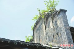 ��һ��̤���ء���̽���Ĵ��������ζ����Ĺ���