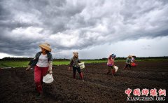 ���ڣ������߲�