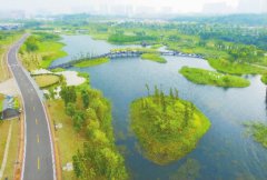 ������λ������