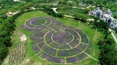 �ҿ����ϡ��̷ʻ��ݡ��������ķܽ�60��Ѳ��֮��̬����ƪ