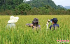 ��չ���ʵ� �Ĵ����¡����󲽡�