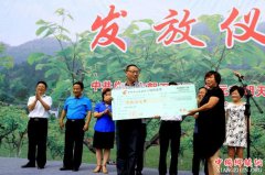 �ƽ�������Ȩ��Ѻ���� �Ĵ���̨ʵʩ���