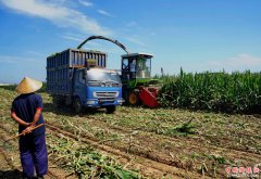 ������ũ���ջ���������