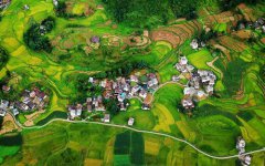 ����ɽ����ɫ��