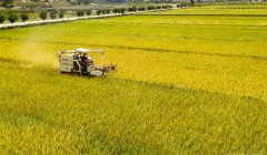 ˮ�������ո�