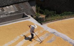 �żҽ磺�����ˬæɹ��