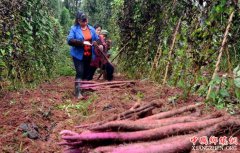 �ڽ�������������ũ�弯�彨���õسɹ���ת