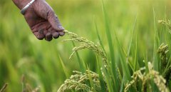 ���յ���