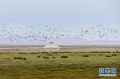 ����׷����������ԭ