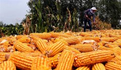 �ջ�����