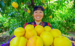 ��ũ���ںϡ������������