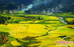 ��ˮ������ ������������