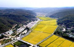 ��Ʈ��������