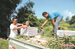 ӵ�����󡰹��ֺš��ƺ� ţ̲������ţ����ʮ��