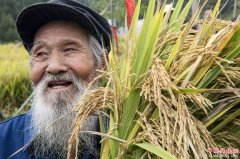 �������ϵķ��մ�Ƚ�