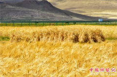 �������պ�ʱ�ڣ�����������һ�����ܴ���