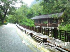 �ܳ�������Ӱ�� С�߿׾��������ر�