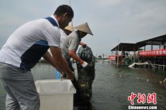 ̫����բз���� ���������������ֳз