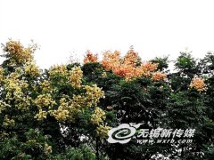 ������������������ɫ�� 10��ӭ����ѹ�����