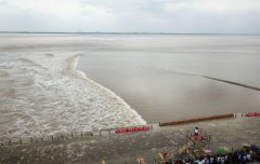 Ǯ����ӭ����ѹ۳���