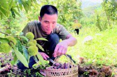 ����ϲ�������ֲ����������1.2��Ԫ